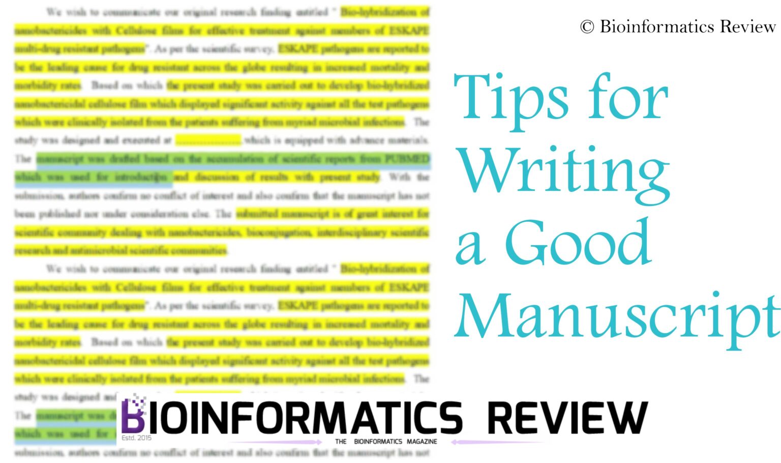 MUSCLE Tool for Multiple Sequence Alignment — Bioinformatics Review