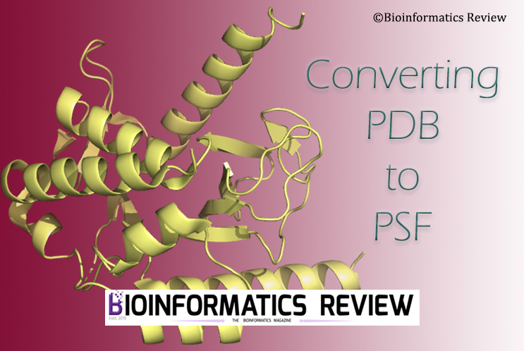 How to convert the PDB file to PSF format?