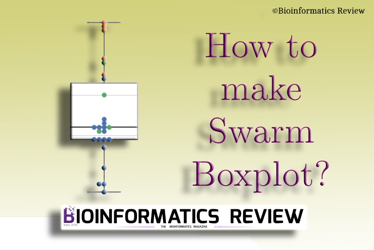 How to make swarm boxplot?